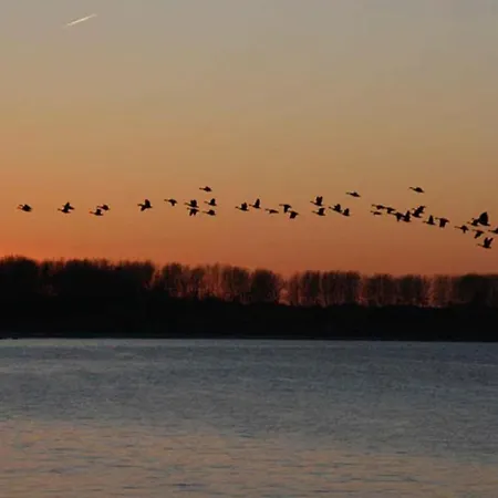 Herrenhaus App. 05 Salzbinse * Blengow